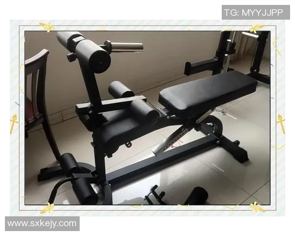 健身房常用健身器材全面解析助你高效锻炼塑造完美身材